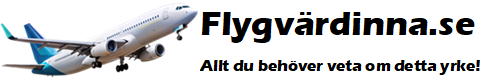 flygvärdinna